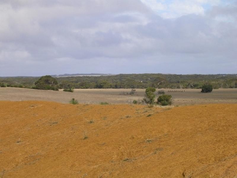 Lot 503 Moores Rd, Haines SA 5223