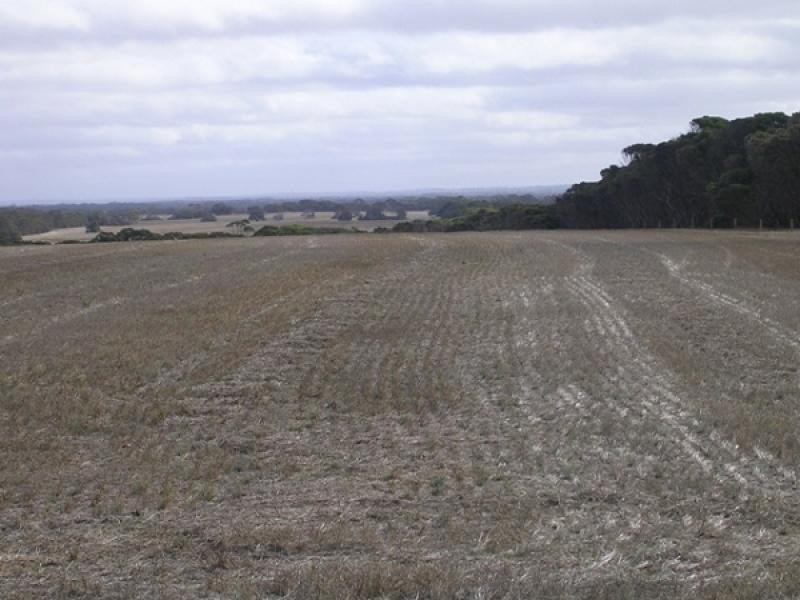 Lot 503 Moores Rd, Haines SA 5223