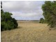 Lot 503 Moores Rd, Haines SA 5223