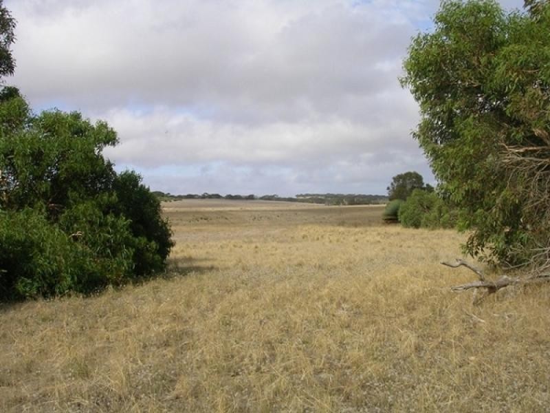 Lot 503 Moores Rd, Haines SA 5223