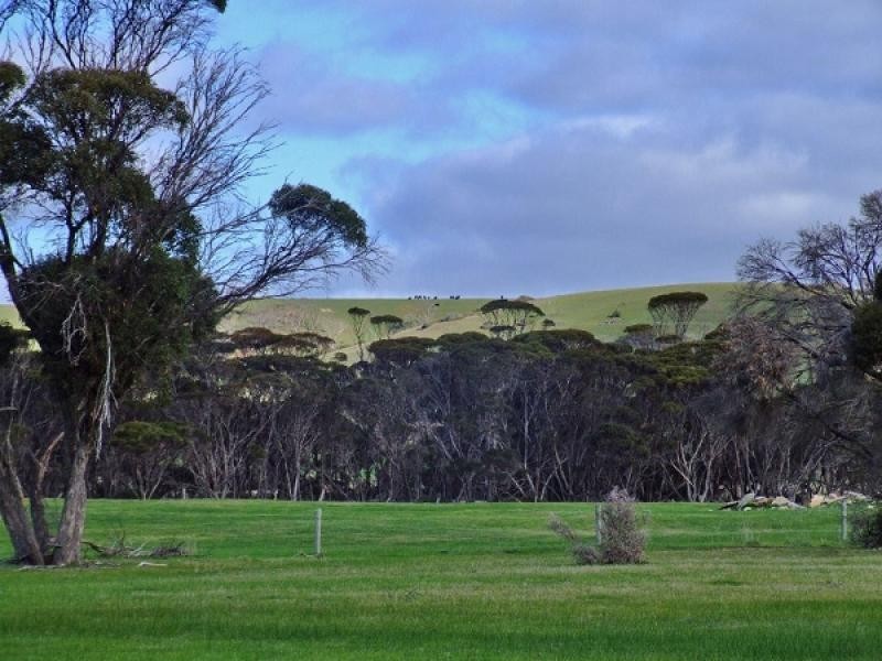 Lot 62 North Coast & Emu Bay Rds, Wisanger SA 5223