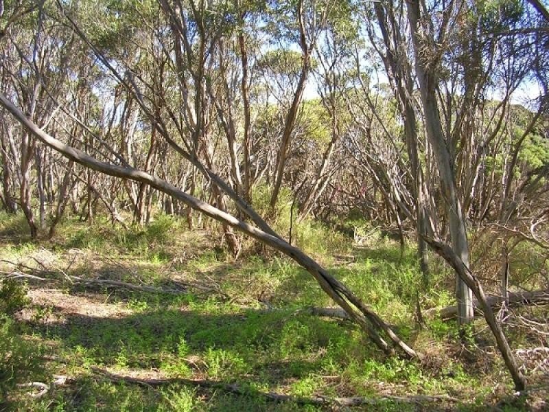 Lot 4 Hundred of Dudley, Baudin Beach SA 5222