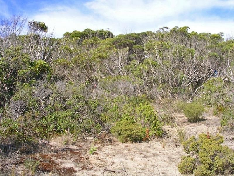 Lot 4 Hundred of Dudley, Baudin Beach SA 5222