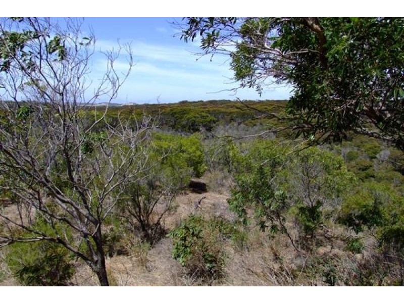 Lot 201 Island Beach Rd, Island Beach SA 5222