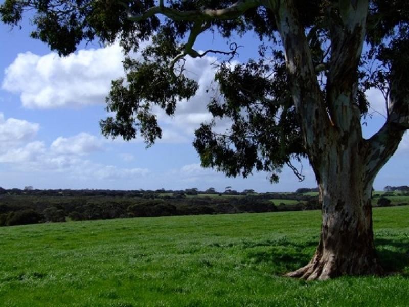 Lot 300 Millers Rd, via Bark Hut Rd, Hd of Cassini, Cygnet River SA 5223