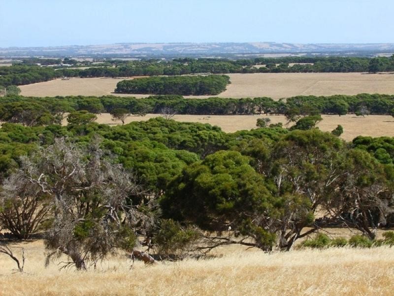 Lot 2 GAP ROAD, Wisanger SA 5223