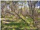 Lot 4 Hundred of Dudley, Baudin Beach SA 5222
