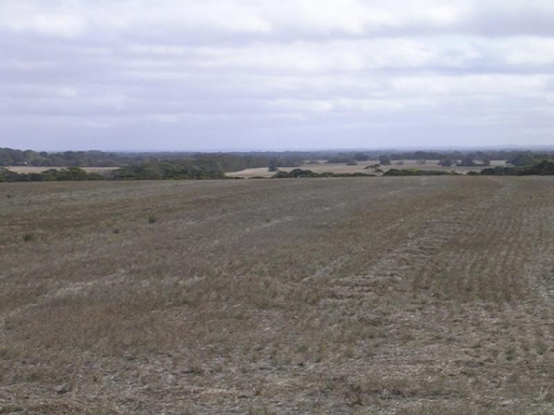 Lot 503 Moores Rd, Haines SA 5223