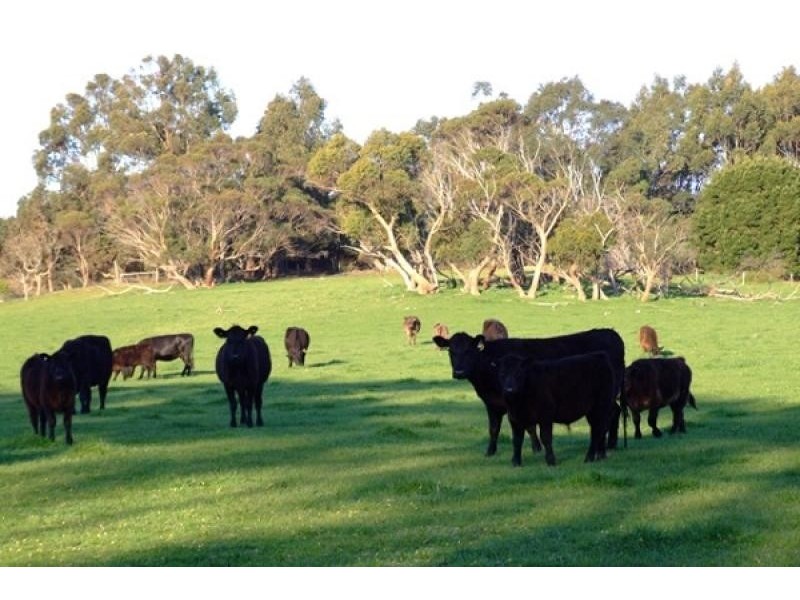 Lot 10 Berrymans Road, Gosse SA 5223