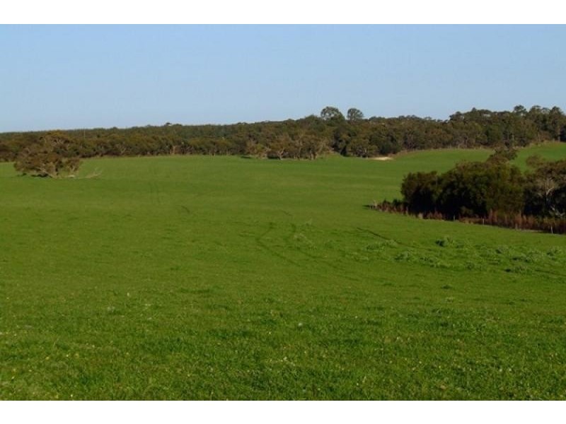 Lot 10 Berrymans Road, Gosse SA 5223