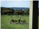 Lot 12 Hog Bay Road, Pelican Lagoon SA 5222