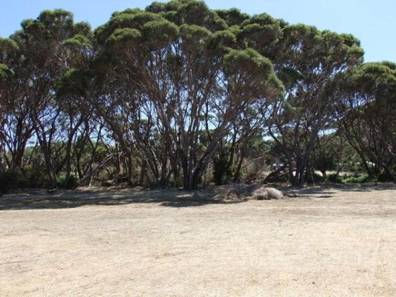 Lot 8 Sea Eagle Way, American River SA 5221