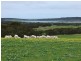 Section 29 , 30 Three Chain Rd, Haines SA 5223