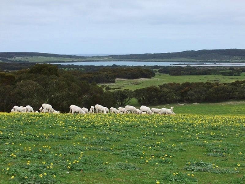 Section 29 , 30 Three Chain Rd, Haines SA 5223