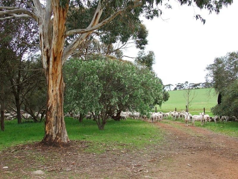 Section 29 , 30 Three Chain Rd, Haines SA 5223