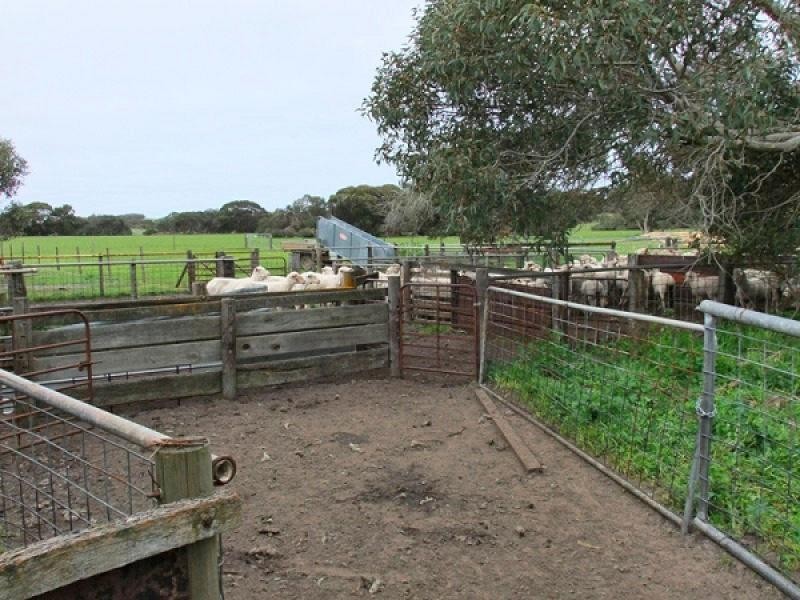 Section 29 , 30 Three Chain Rd, Haines SA 5223