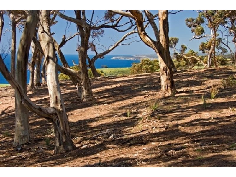 Western River SA 5223