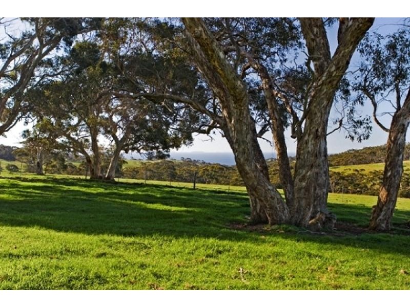 Western River SA 5223