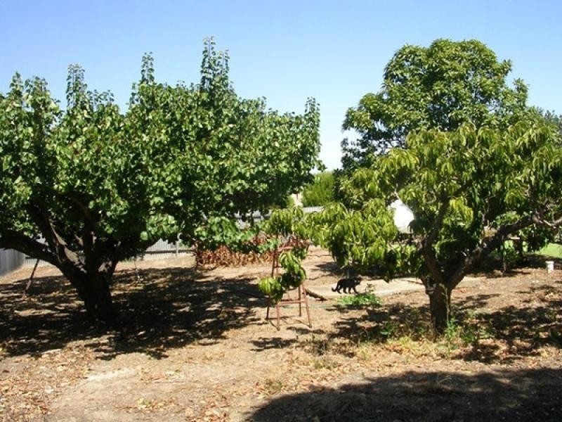 Lot 743 , 12 Cygnet Rd, Kingscote SA 5223