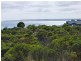 Unit 105 Emu Street, Island Beach SA 5222