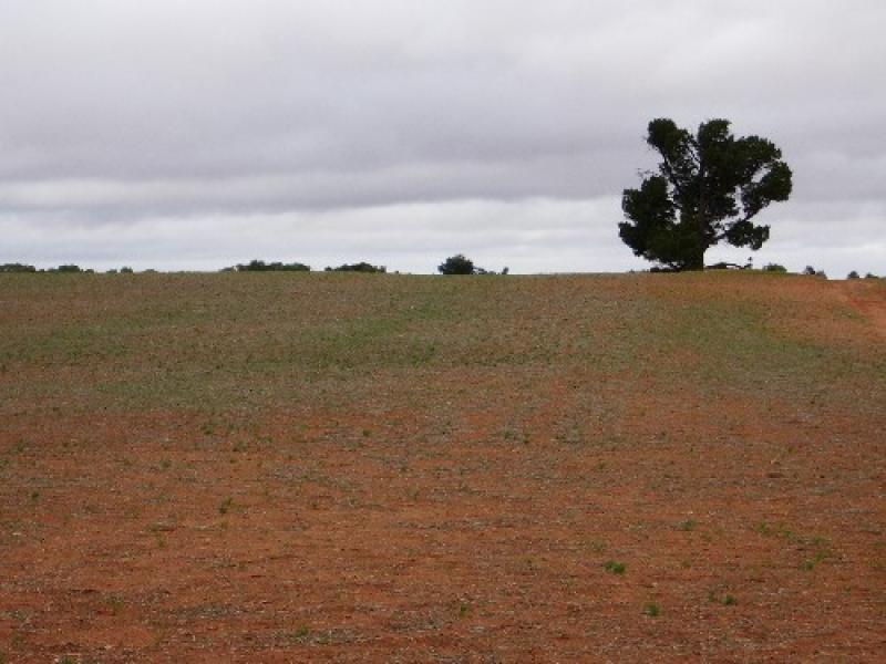CORNER MERIDIAN AND WALKER ROADS, Merbein West VIC 3505