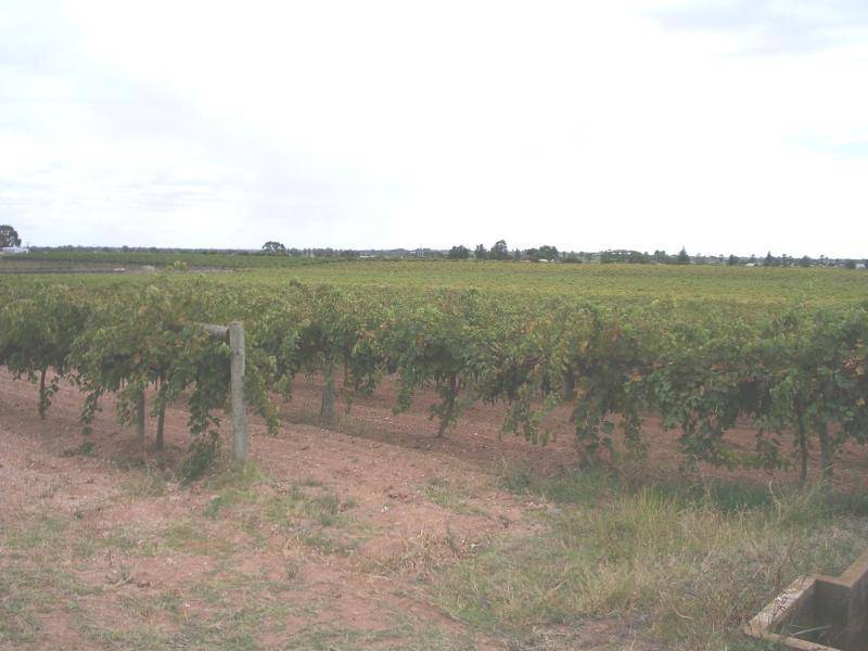 BLOCK 44 GAME STREET, Merbein VIC 3505