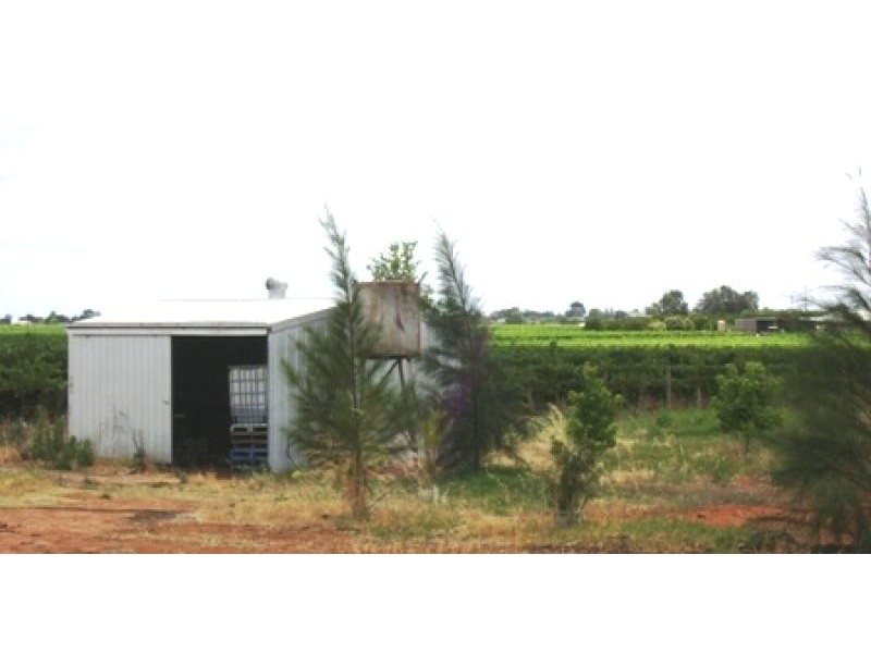 Birdwoodton VIC 3505