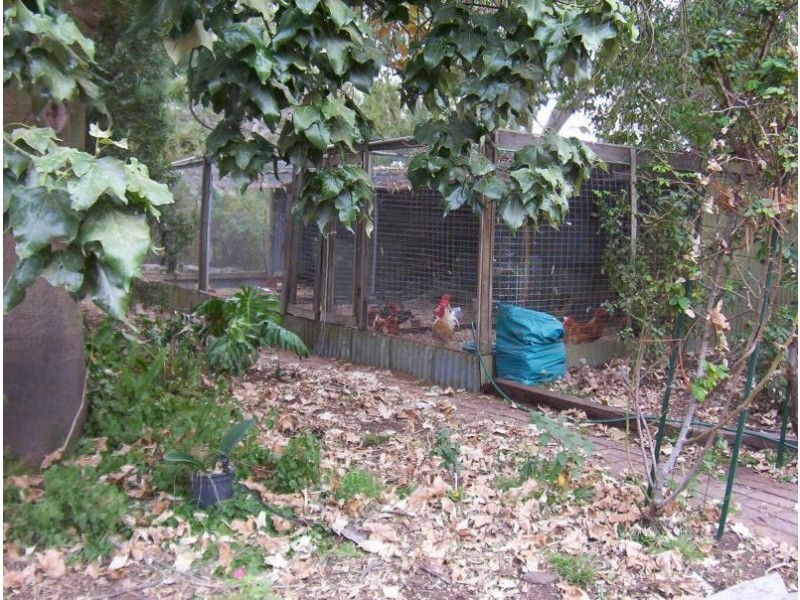 Farm 99 Delta Road, Curlwaa NSW 2648