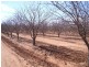Lot 1 &ampampamp 2/ STURT HIGHWAY, Cullulleraine VIC 3496