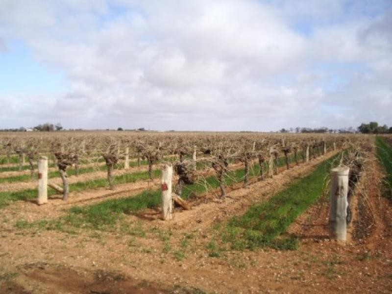 Lot 3 SHEOAK AVENUE, Mildura South VIC 3501