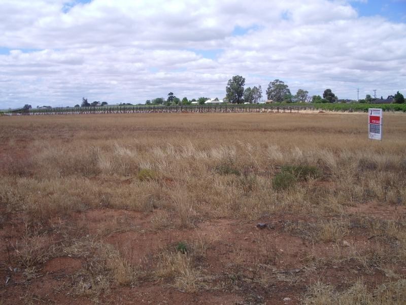 Lot 2 CALDER HIGHWAY, Red Cliffs VIC 3496