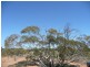 Lot 1 OLD CALDER HIGHWAY, Hattah VIC 3501