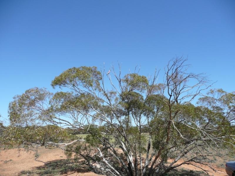 Lot 1 OLD CALDER HIGHWAY, Hattah VIC 3501