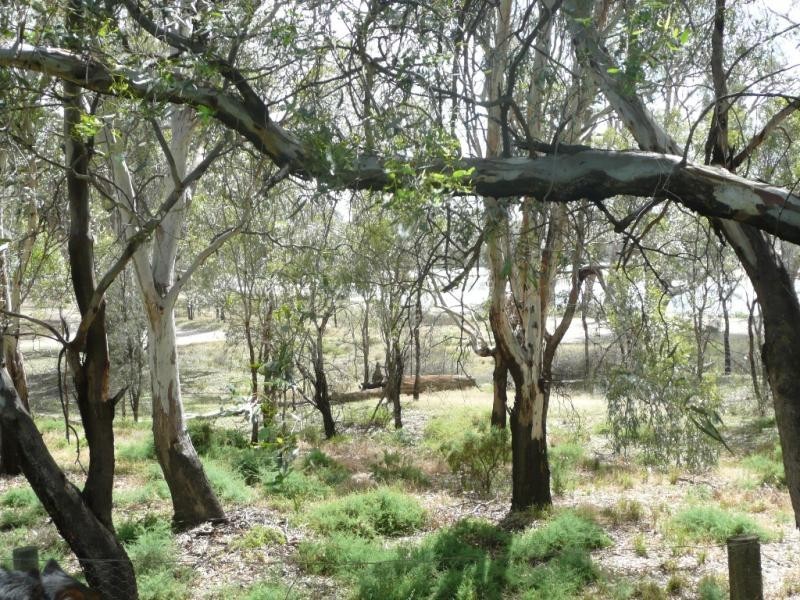 428 WEST ROAD, Buronga NSW 2739