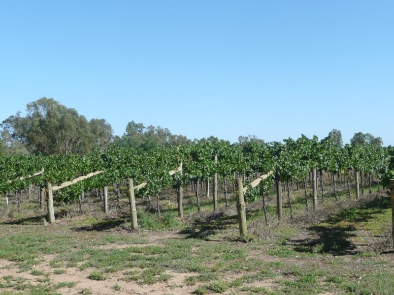 428 WEST ROAD, Buronga NSW 2739