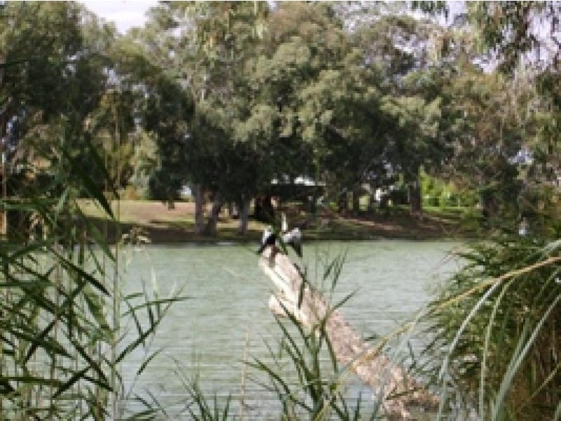 175 Darling Street, Wentworth NSW 2648