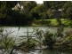 175 Darling Street, Wentworth NSW 2648