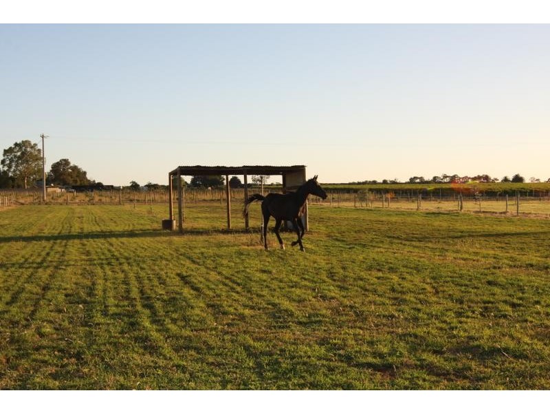 24 Honour Avenue, Merbein VIC 3505