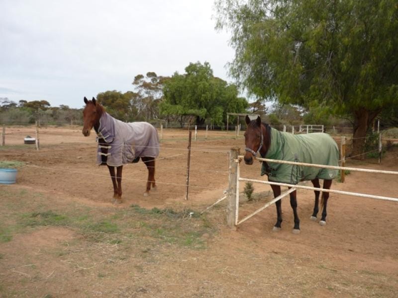 183 Dow Avenue, Birdwoodton VIC 3505