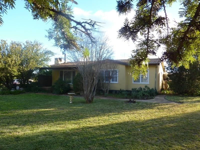 96 Pethard Road, Robinvale VIC 3549