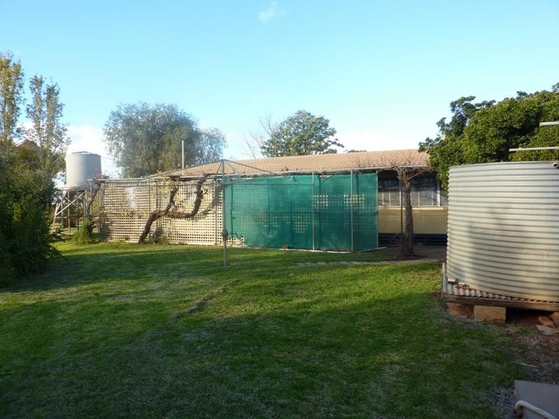 96 Pethard Road, Robinvale VIC 3549