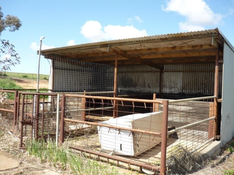 4473 Hattah-Robinvale Road, Robinvale VIC 3549