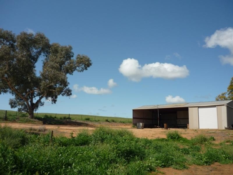 4473 Hattah-Robinvale Road, Robinvale VIC 3549