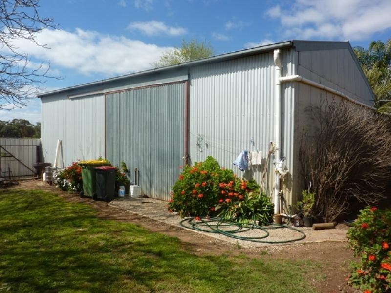 29 Williams Rd, Robinvale VIC 3549