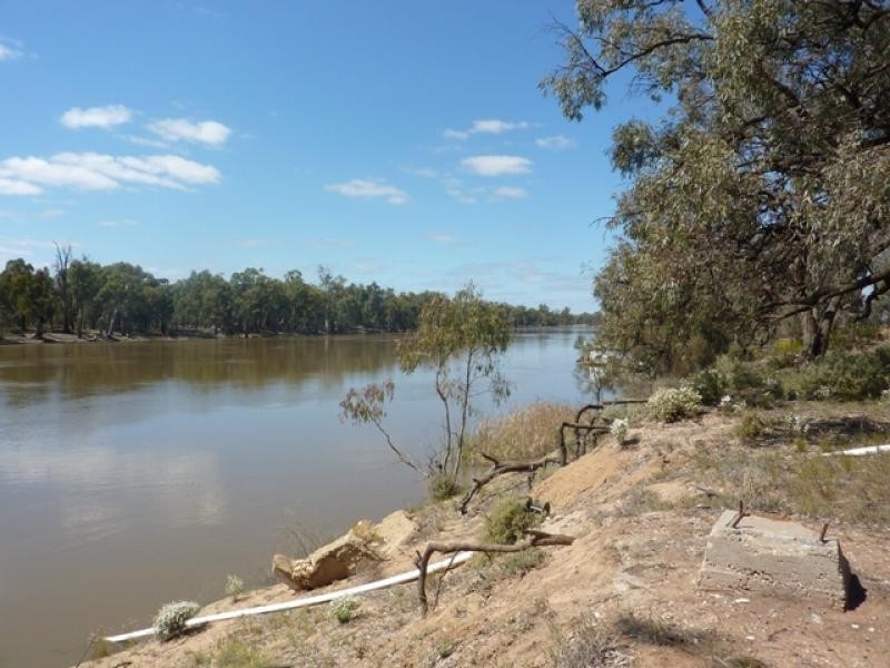 29 Williams Rd, Robinvale VIC 3549