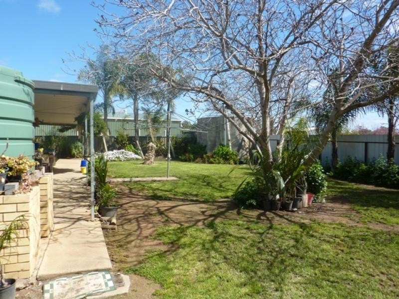 29 Williams Rd, Robinvale VIC 3549