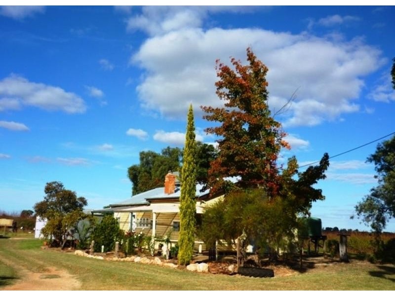 8438 Calder Highway, Red Cliffs VIC 3496
