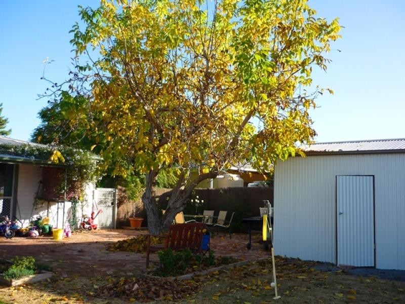 123 Jacaranda Street, Red Cliffs VIC 3496