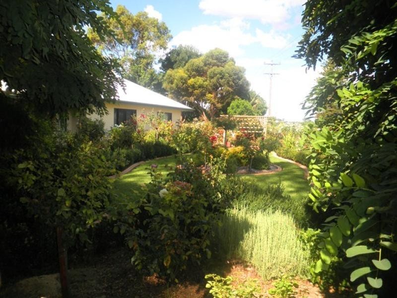 87 Bernarra Road, Dareton NSW 2717