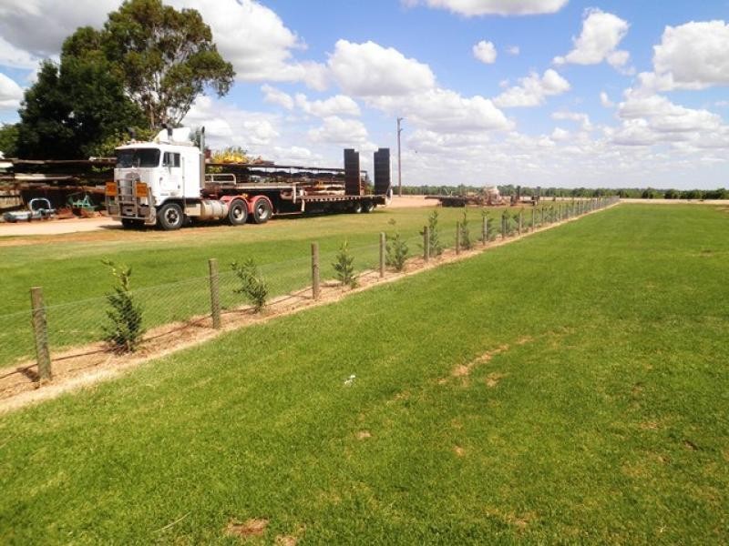 87 Bernarra Road, Dareton NSW 2717